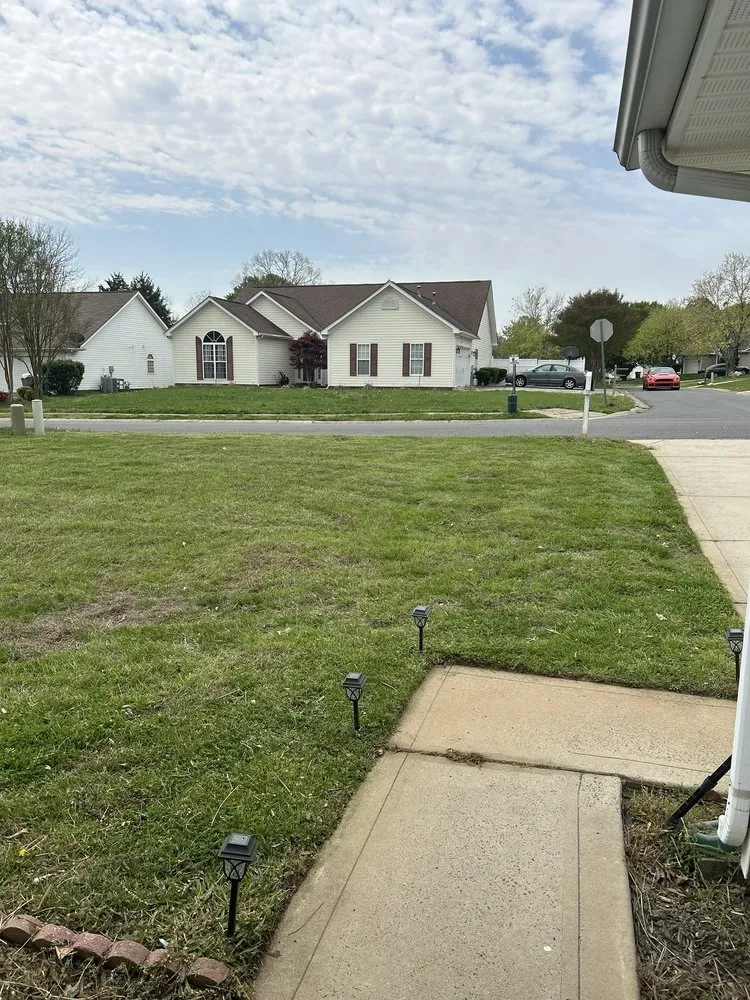 Trusted landscaping services experts serving Charlotte, NC - Bladerunner Landscaping