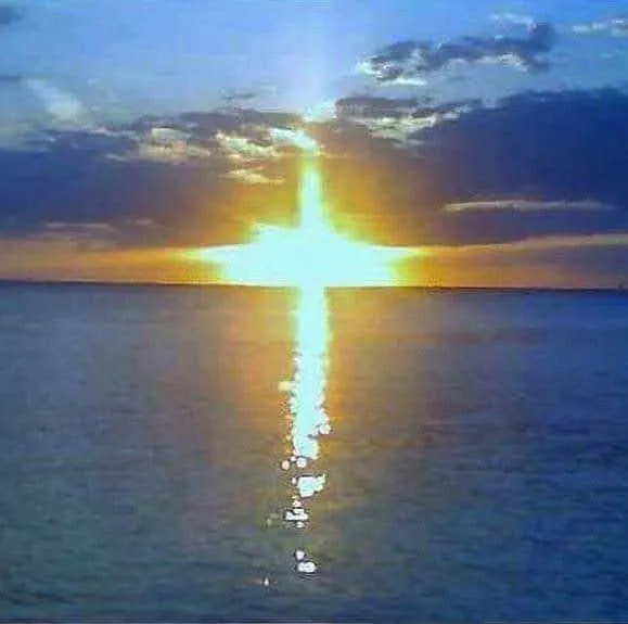 Professional residential landscaping experts serving Tampa, FL - Bladerunners Landscaping & Maintenance