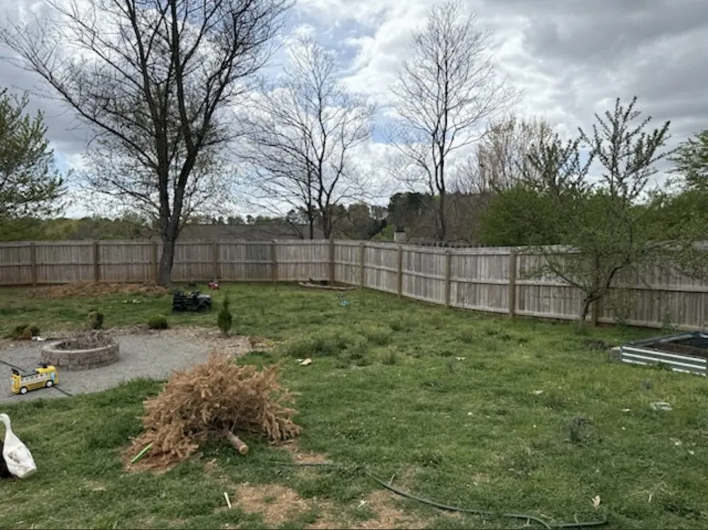 Professional yard cleanup service with custom design in Greensboro, NC by Blade's & Bloom's