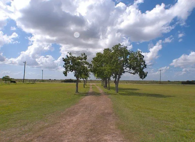 Expert outdoor landscaping with custom design in Victoria, TX by Blades & Bolts