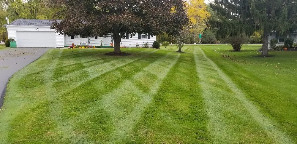 Trusted lawn care service for year-round maintenance across Lyons, NY - Blades & Spades Landscaping