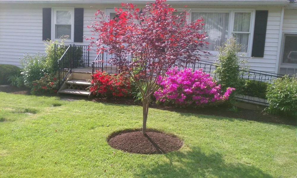 Trusted lawn care service in Lyons, NY by Blades & Spades Landscaping