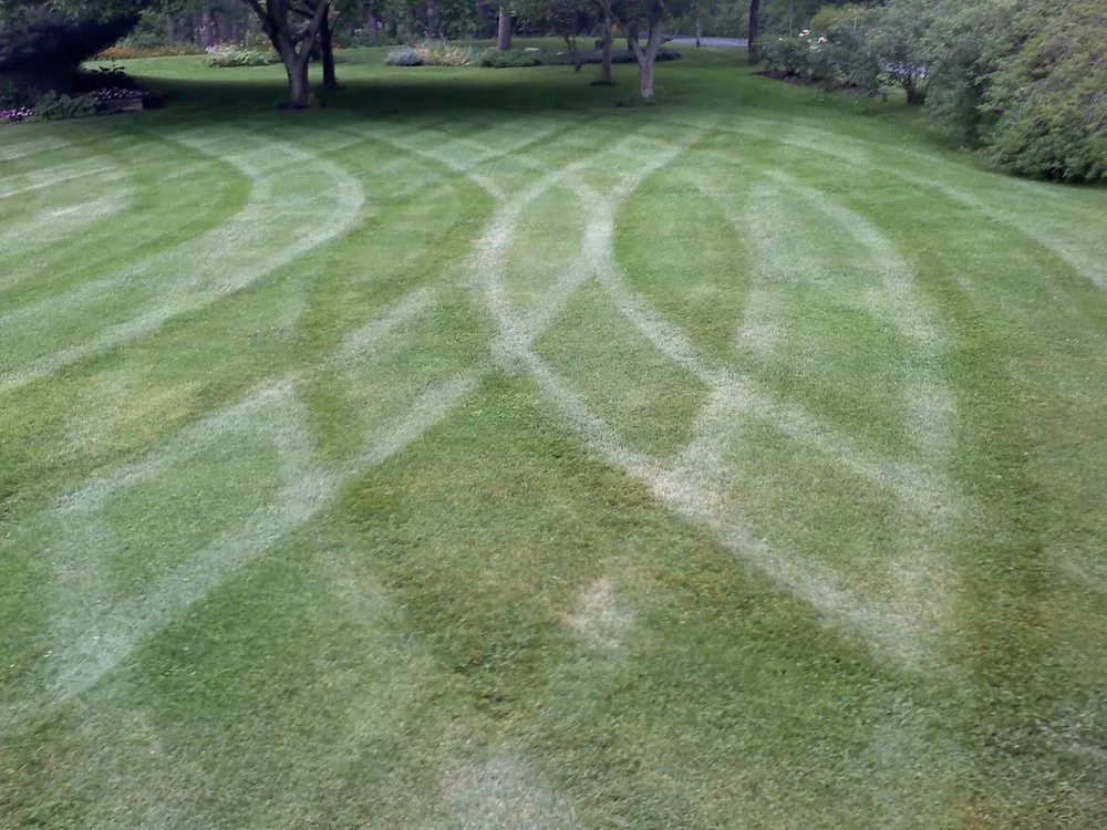 Expert landscape design experts serving Lyons, NY - Blades & Spades Landscaping