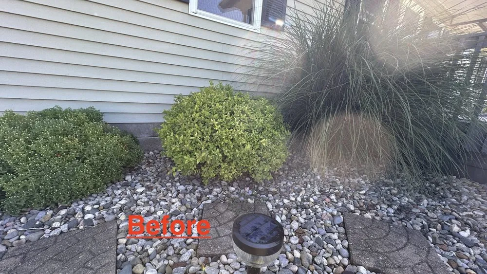 Professional yard maintenance experts serving Leesburg, IN - Blades & Stripes Lawncare