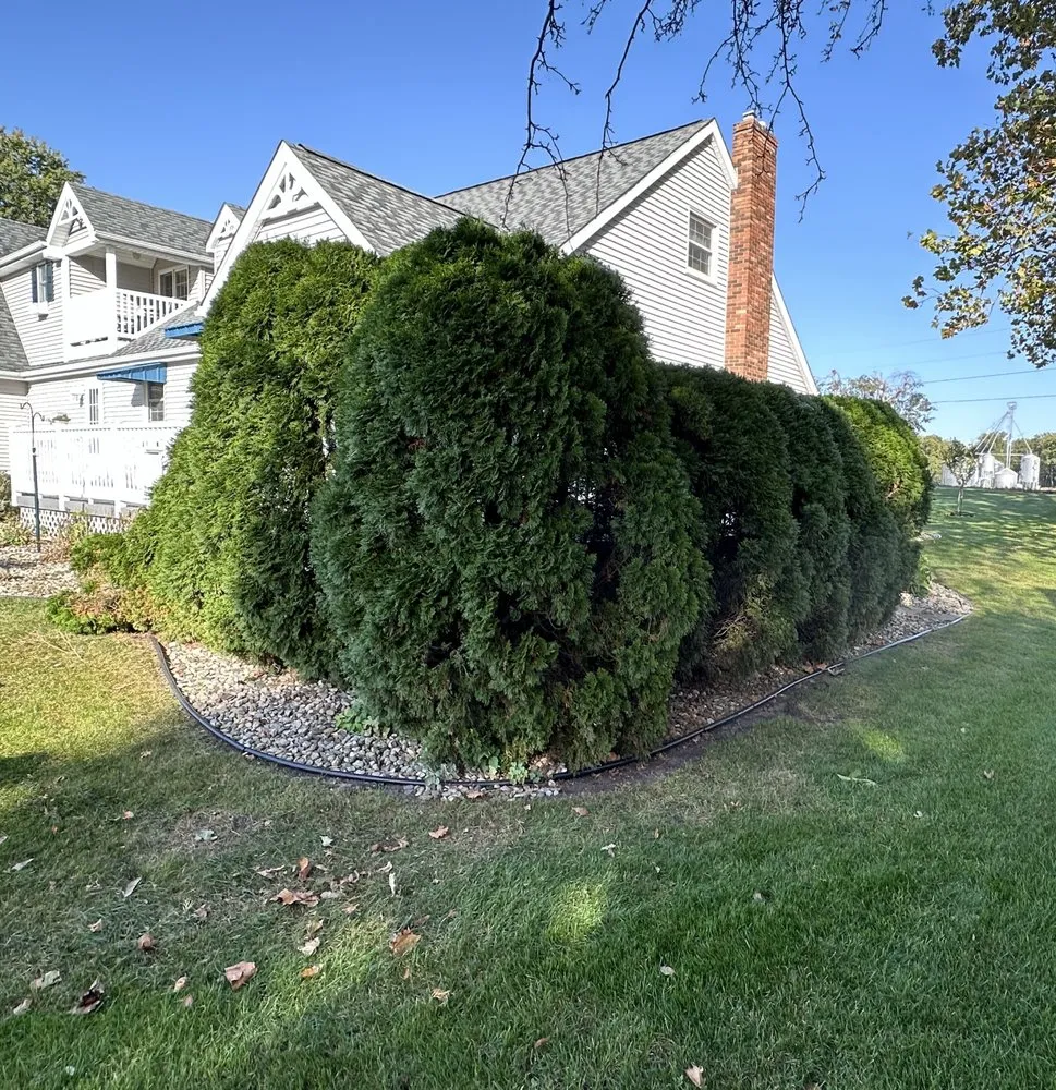 Local yard cleanup service for residential properties in Leesburg, IN by Blades & Stripes Lawncare
