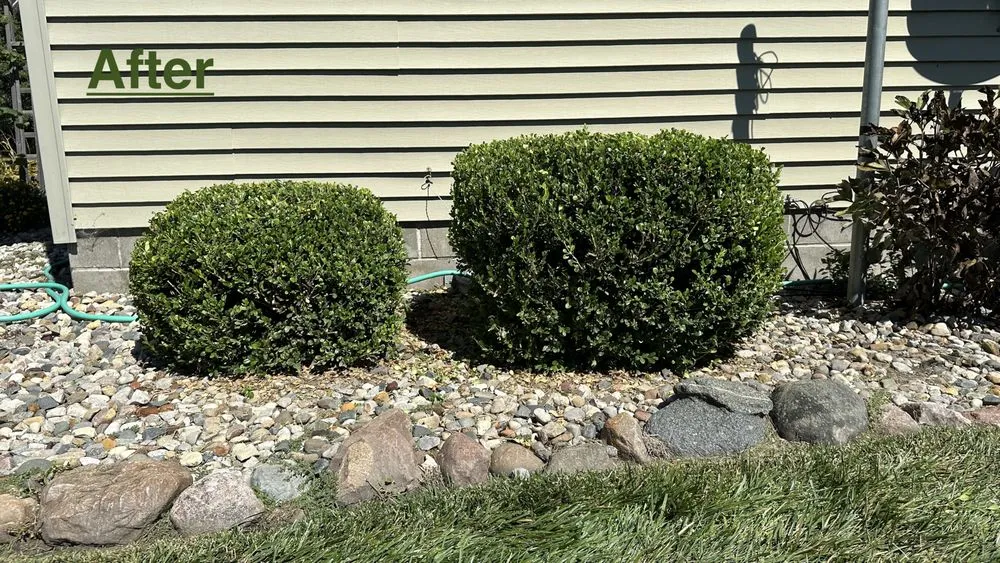 Professional yard cleanup service in Leesburg, IN - Blades & Stripes Lawncare