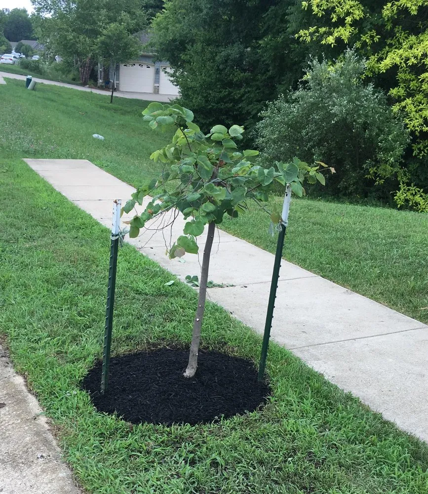 Custom landscaping services experts serving West Lafayette, IN - Blades and Branches