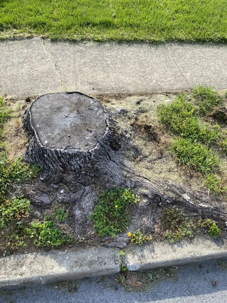 Trusted residential landscaping for year-round maintenance across Hagerstown, MD - Blades By Dave