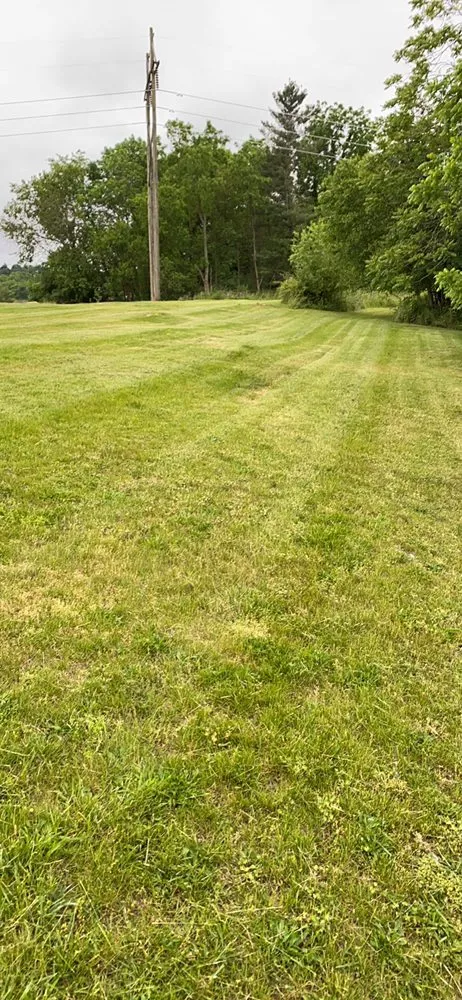 Professional yard maintenance experts serving Hagerstown, MD - Blades By Dave