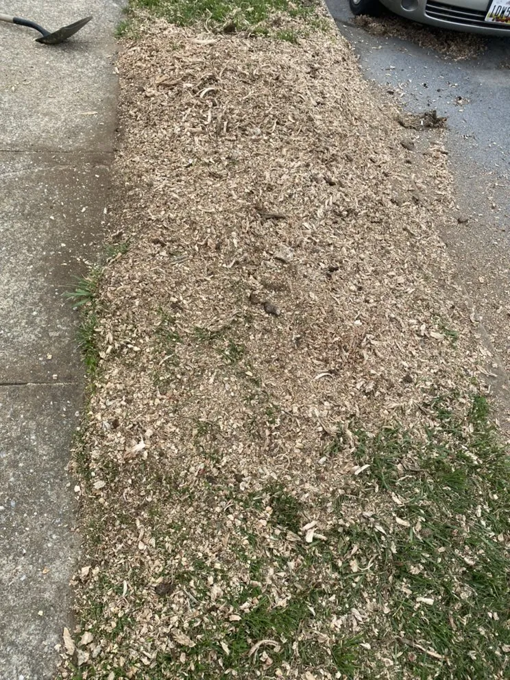 Professional lawn care service in Hagerstown, MD - Blades By Dave