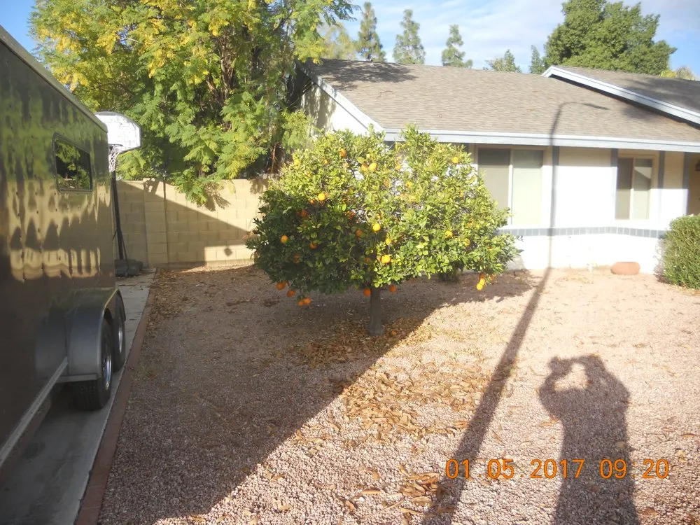 Affordable landscape design with custom design across Apache Junction, AZ - BLADES Desert Lawn Care & Pool Service