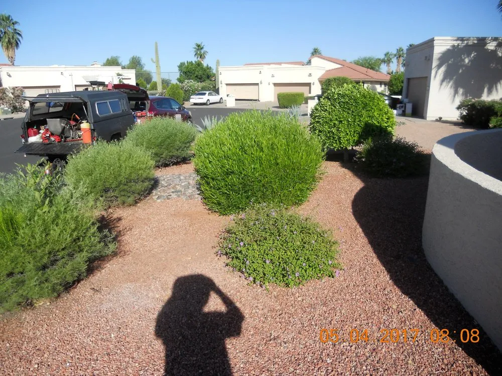 Professional landscape installation experts serving Apache Junction, AZ - BLADES Desert Lawn Care & Pool Service
