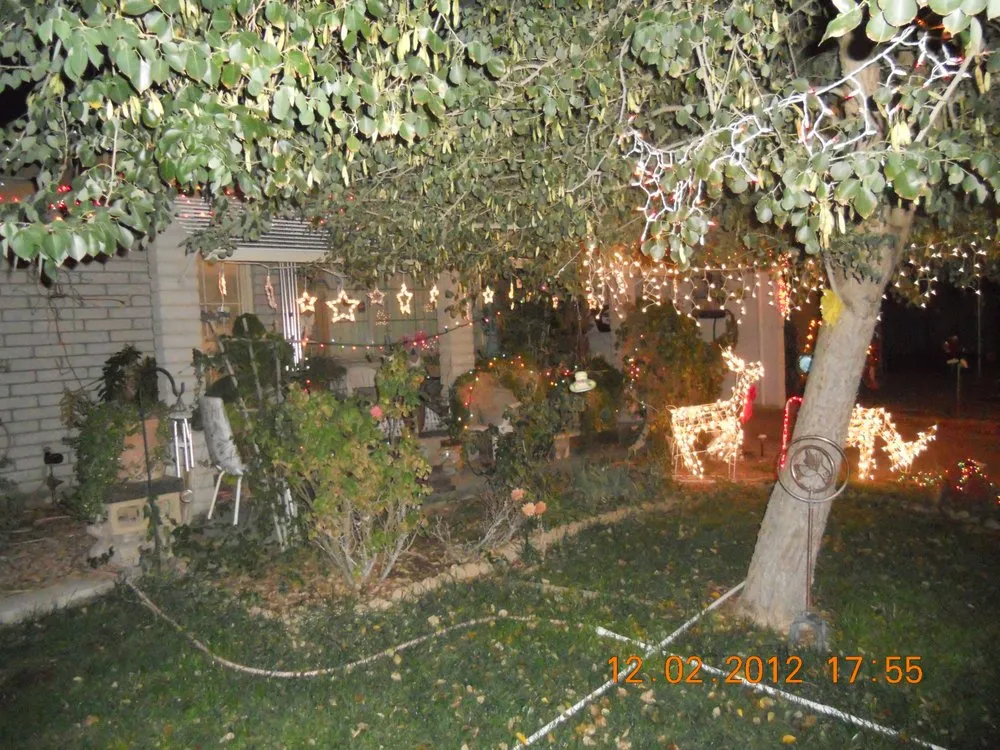 Local outdoor landscaping in Apache Junction, AZ by BLADES Desert Lawn Care & Pool Service