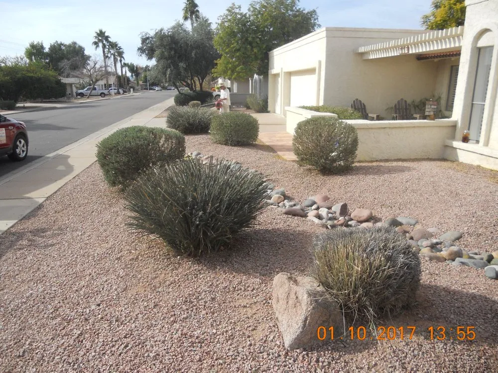 Expert outdoor landscaping in Apache Junction, AZ - BLADES Desert Lawn Care & Pool Service