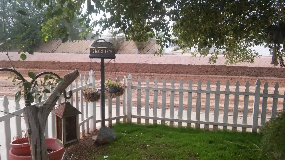 Top-rated landscaping services for residential properties in Apache Junction, AZ by BLADES Desert Lawn Care & Pool Service