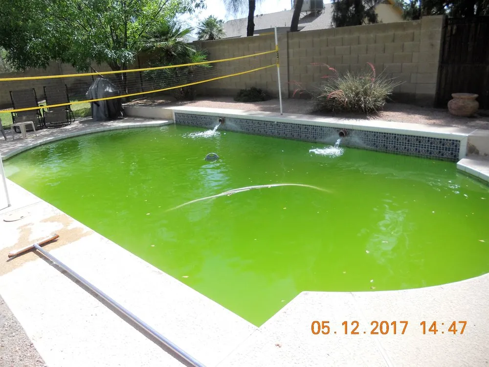 Trusted residential landscaping near you in Apache Junction, AZ by BLADES Desert Lawn Care & Pool Service