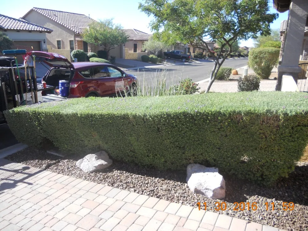 Trusted landscaping services in Apache Junction, AZ by BLADES Desert Lawn Care & Pool Service