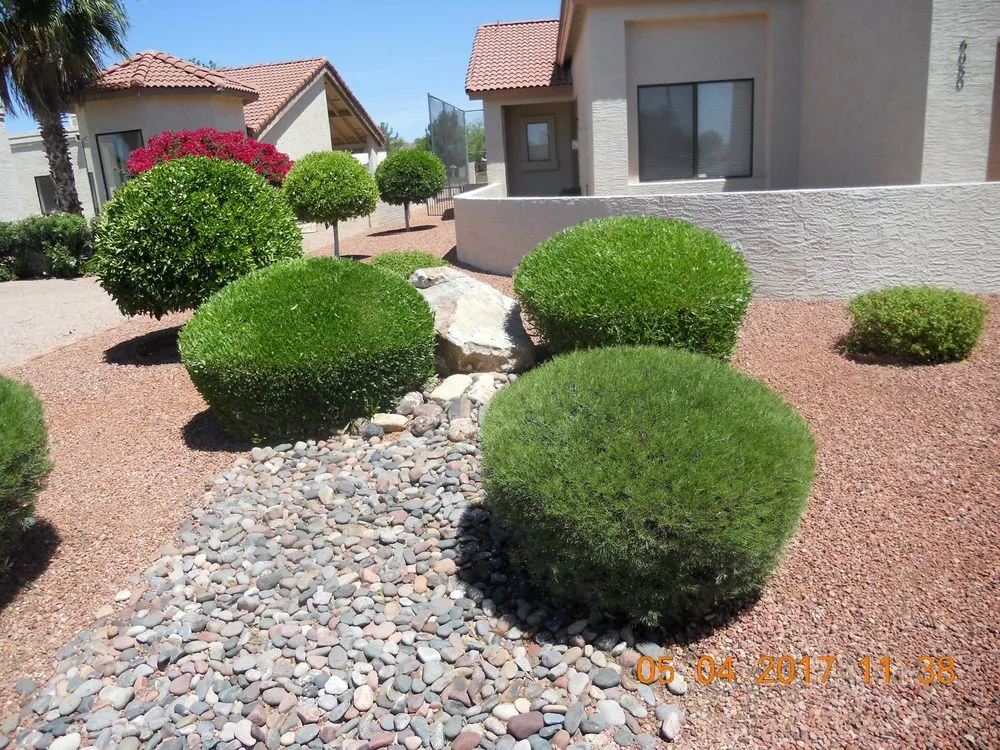 Custom landscape installation in Apache Junction, AZ by BLADES Desert Lawn Care & Pool Service