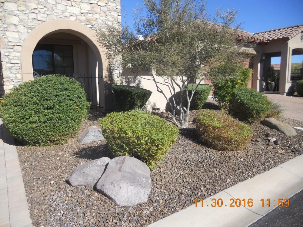 Expert yard maintenance in Apache Junction, AZ - BLADES Desert Lawn Care & Pool Service