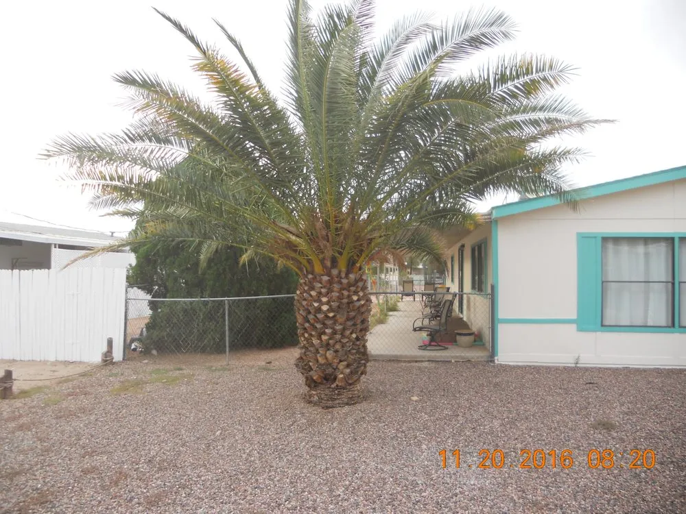 Reliable landscape design in Apache Junction, AZ - BLADES Desert Lawn Care & Pool Service