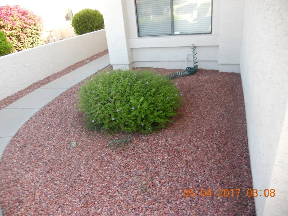 Local lawn care service for year-round maintenance across Apache Junction, AZ - BLADES Desert Lawn Care & Pool Service