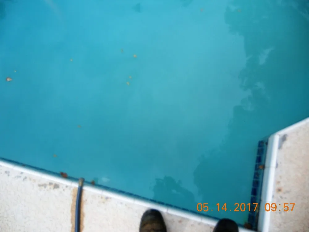 Local landscape design experts serving Apache Junction, AZ - BLADES Desert Lawn Care & Pool Service