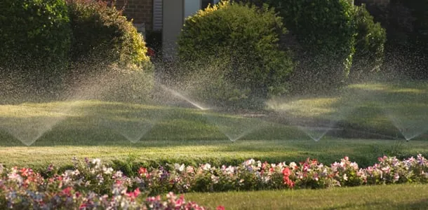Expert landscape design in Lizella, GA - Blades Grass Service