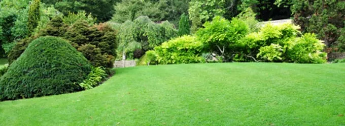 Custom landscape design in Lizella, GA by Blades Grass Service