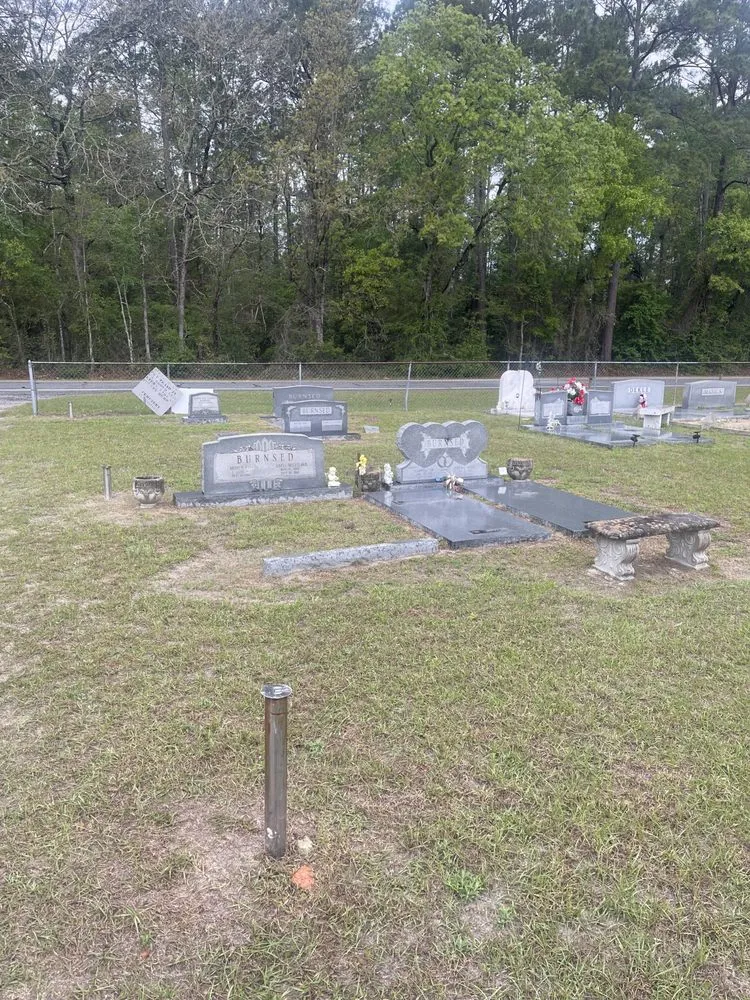 Custom yard cleanup service for outdoor upgrades in Ellabell, GA by Blades Lawn Care