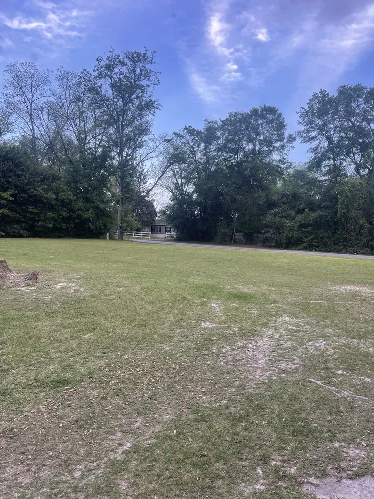 Trusted yard maintenance in Ellabell, GA by Blades Lawn Care