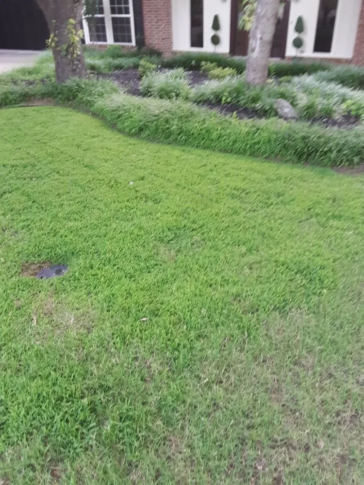 Custom landscape installation in Fort Smith, AR - Blades Lawn Care