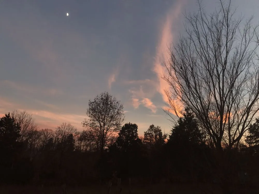 Local landscaping services experts serving Union, MO - Blades Lawn Care