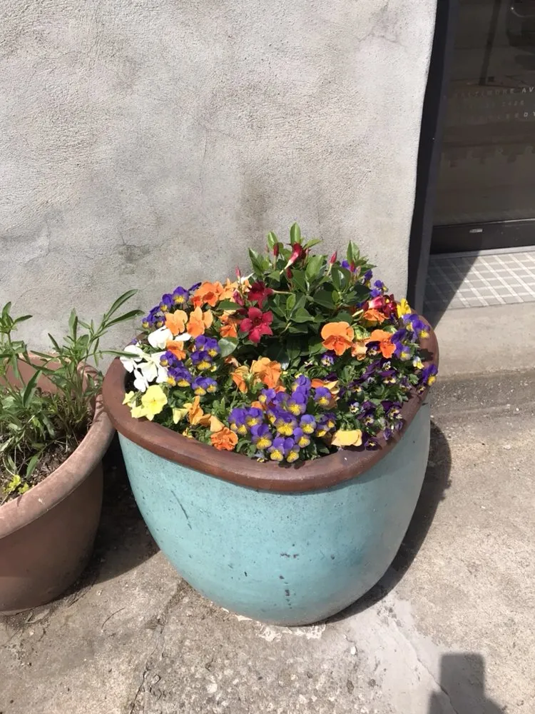 Custom lawn mowing service for year-round maintenance across Union, MO - Blades Lawn Care