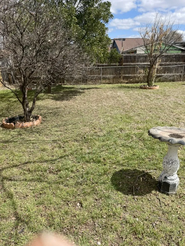 Trusted landscaping services in Castroville, TX - Blades Lawn Cuts