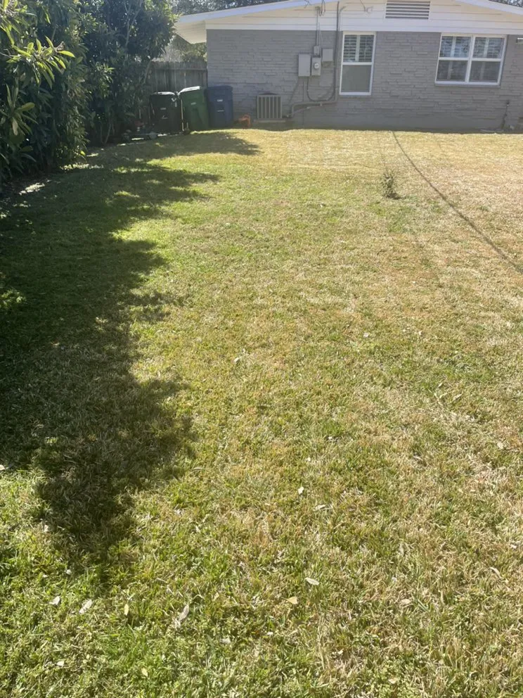 Custom garden landscaping in Castroville, TX - Blades Lawn Cuts