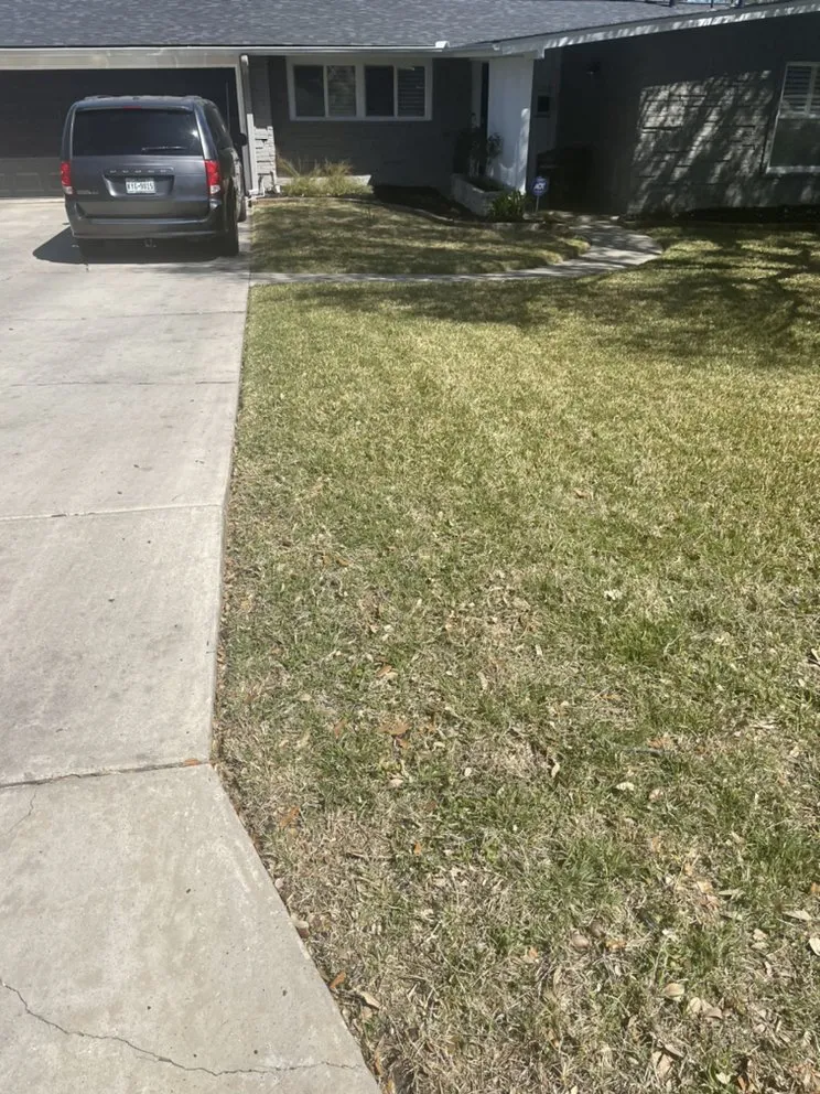 Affordable landscape design experts serving Castroville, TX - Blades Lawn Cuts