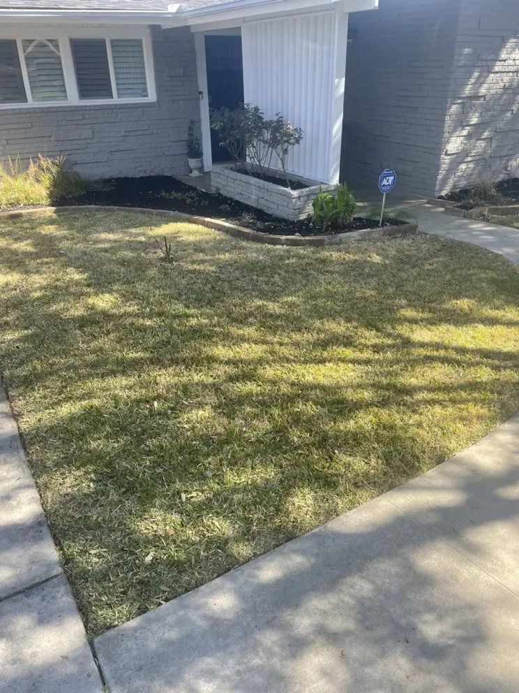 Reliable landscape design for outdoor upgrades across Castroville, TX - Blades Lawn Cuts