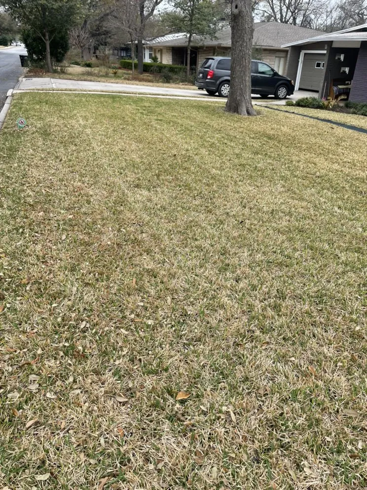 Custom landscape design in Castroville, TX by Blades Lawn Cuts