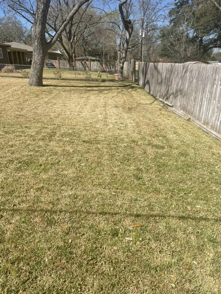 Top-rated lawn mowing service for outdoor upgrades across Castroville, TX - Blades Lawn Cuts
