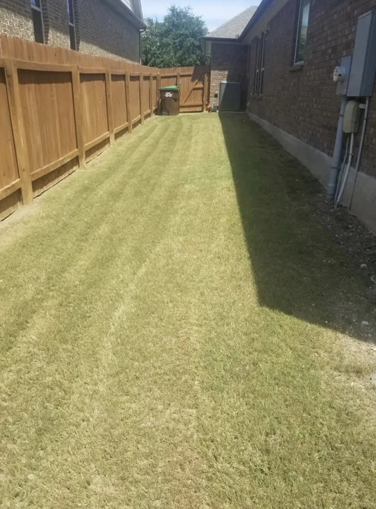 Top-rated residential landscaping for year-round maintenance in Castroville, TX by Blades Lawn Cuts