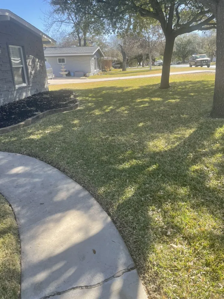 Expert residential landscaping for year-round maintenance in Castroville, TX by Blades Lawn Cuts