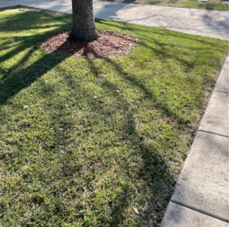 Top-rated yard maintenance in Castroville, TX by Blades Lawn Cuts