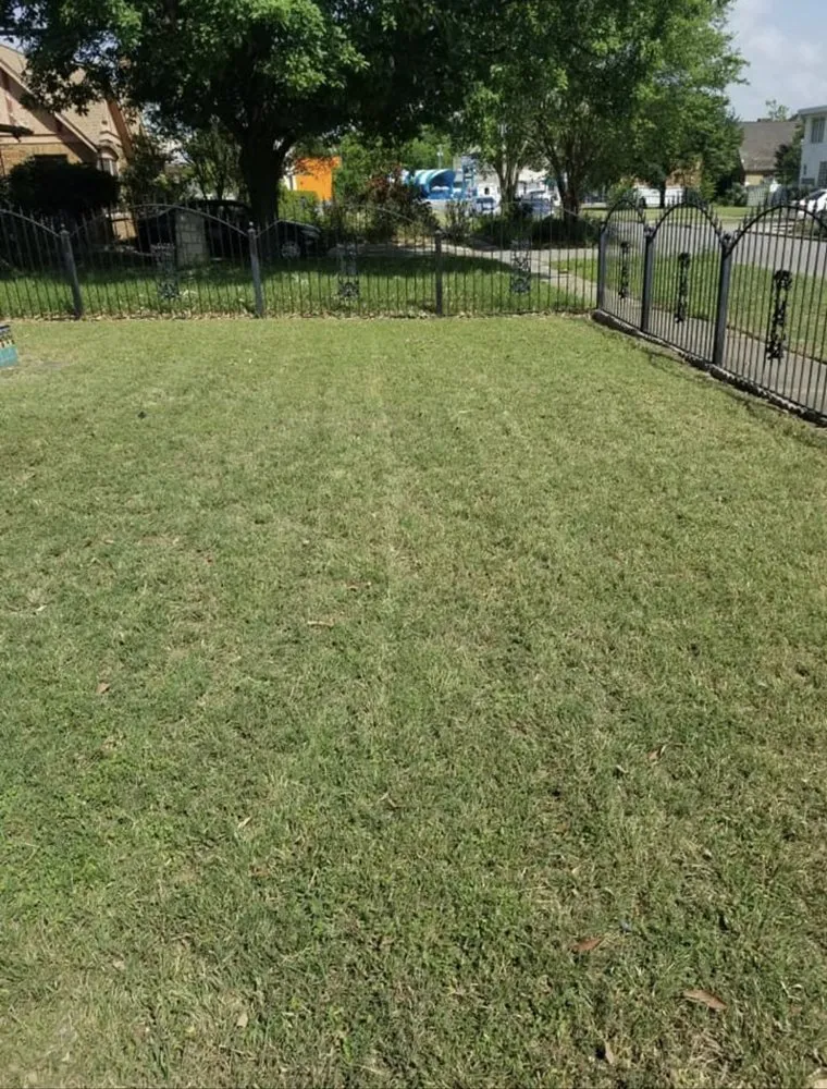 Expert lawn care service experts serving Castroville, TX - Blades Lawn Cuts