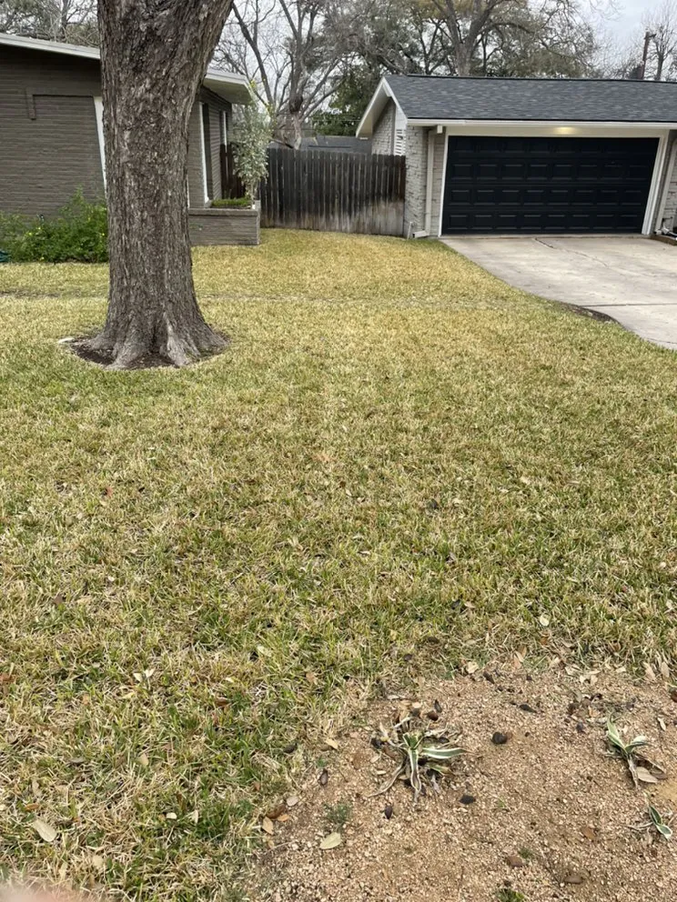 Top-rated garden landscaping experts serving Castroville, TX - Blades Lawn Cuts
