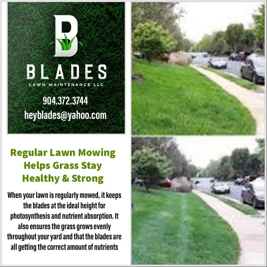 Reliable lawn care service in Kingsland, GA - Blades Lawn Maintenance