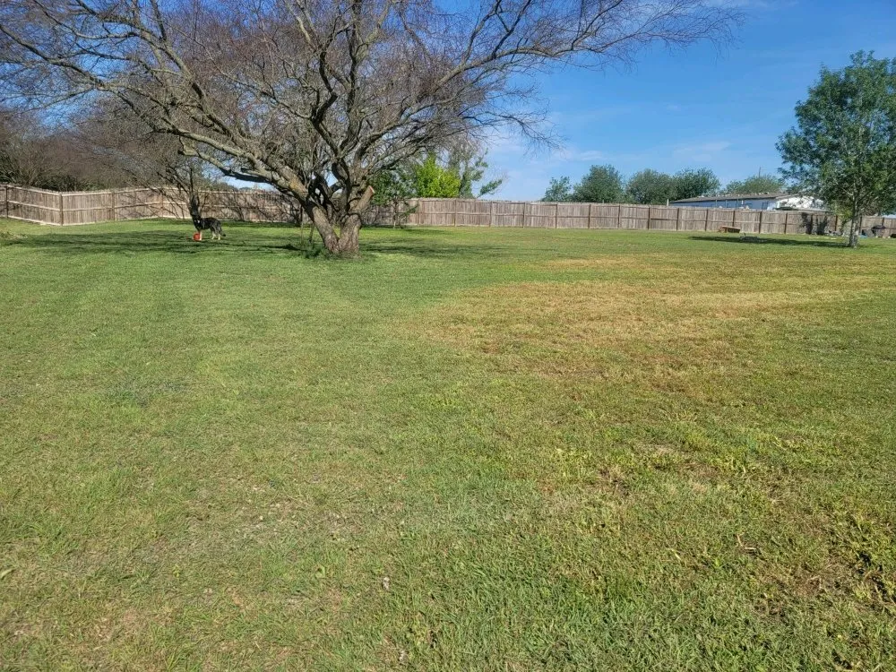 Trusted yard cleanup service in New Braunfels, TX by Blades Lawn Professionals