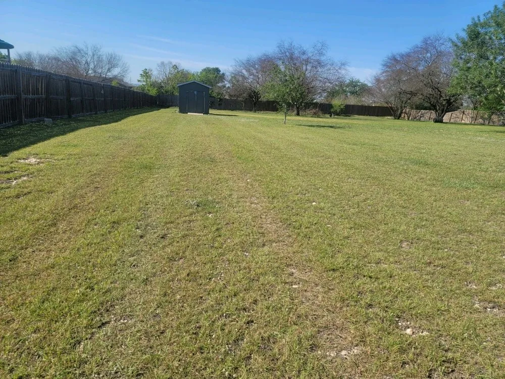 Affordable landscaping services experts serving New Braunfels, TX - Blades Lawn Professionals