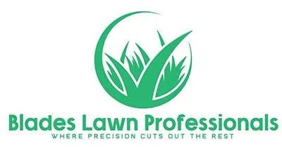 Custom yard cleanup service for outdoor upgrades in New Braunfels, TX by Blades Lawn Professionals