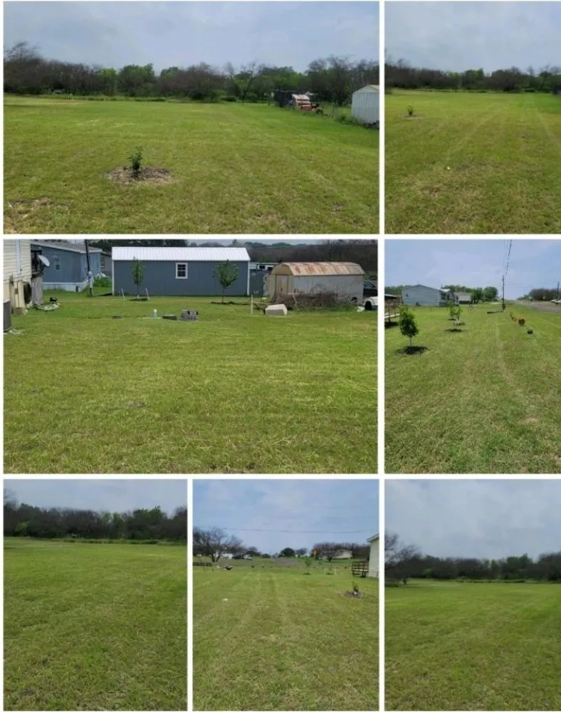 Reliable lawn mowing service in New Braunfels, TX by Blades Lawn Professionals