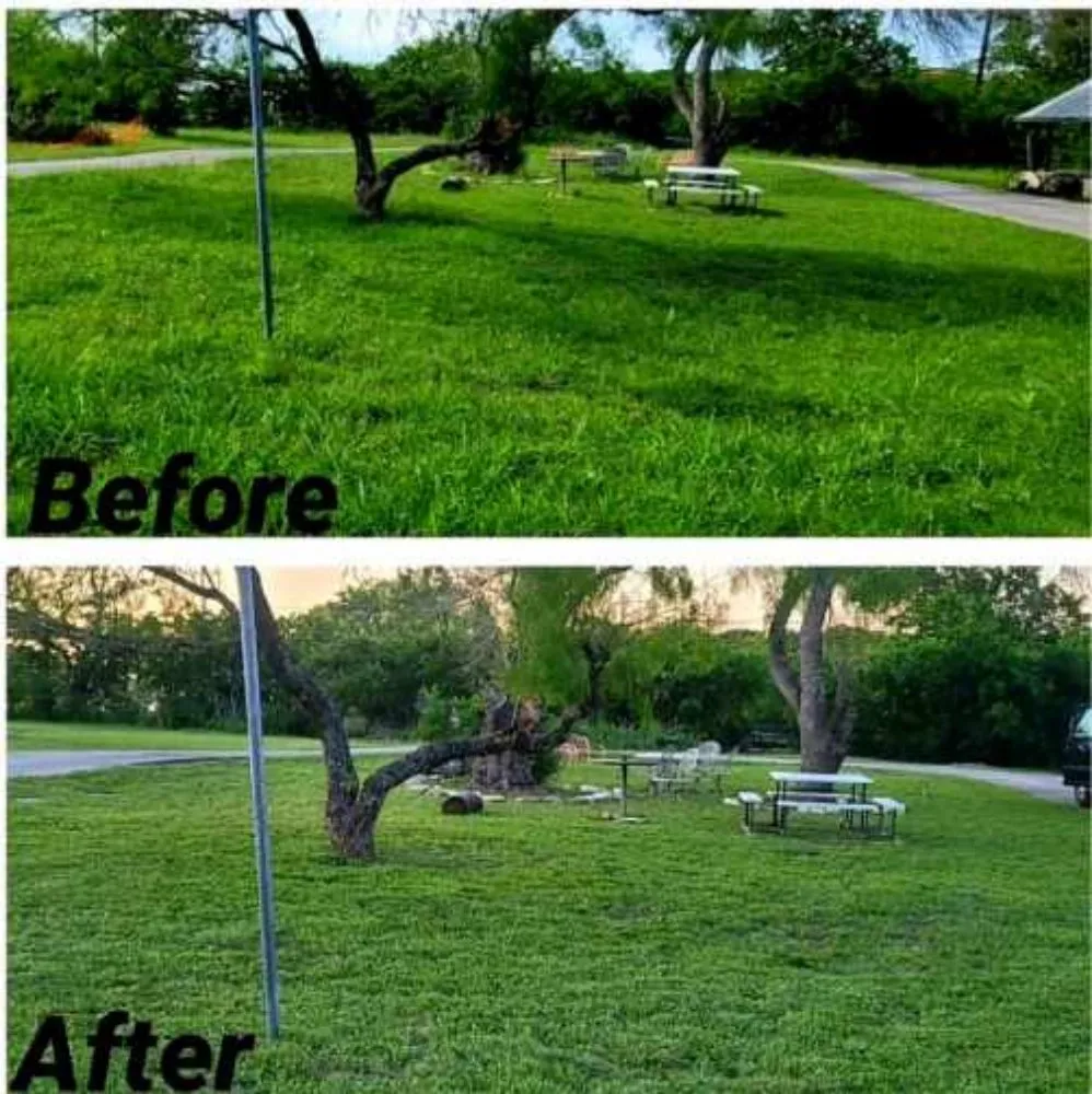 Custom yard maintenance experts serving New Braunfels, TX - Blades Lawn Professionals
